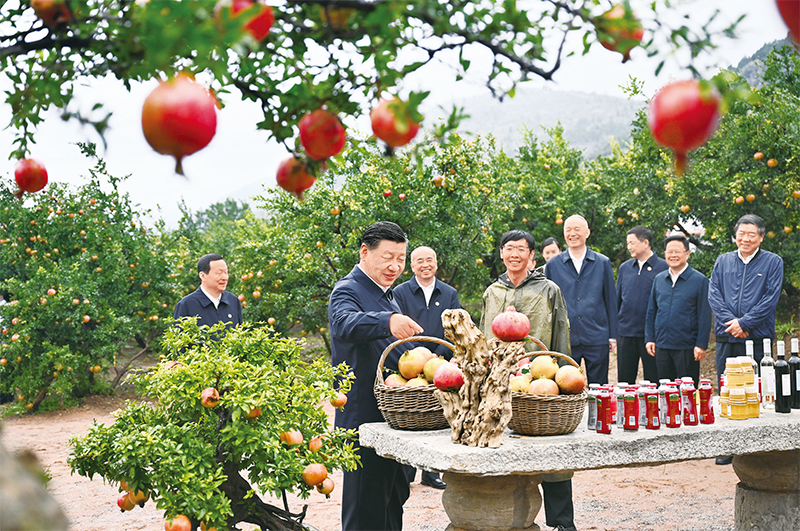 习近平：开辟马克思主义中国化时代化新境界